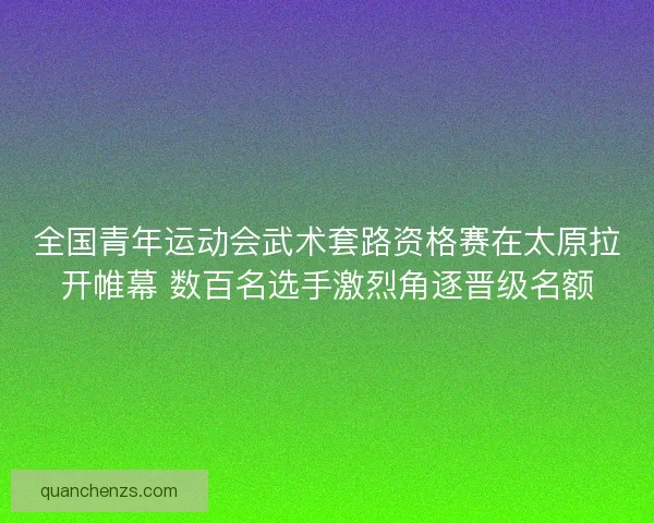 全国青年运动会武术套路资格赛在太原拉开帷幕 数百名选手激烈角逐晋级名额